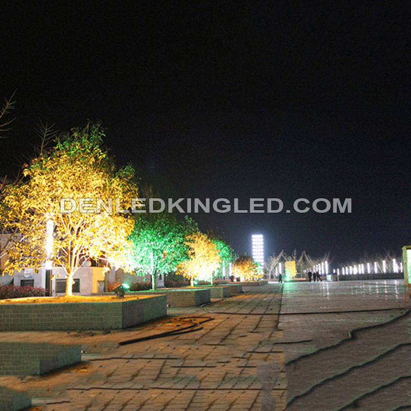 Đèn led chiếu cây sân vườn VCOB hình vuông lắp đặt tại công viên chiếu sáng gốc cây