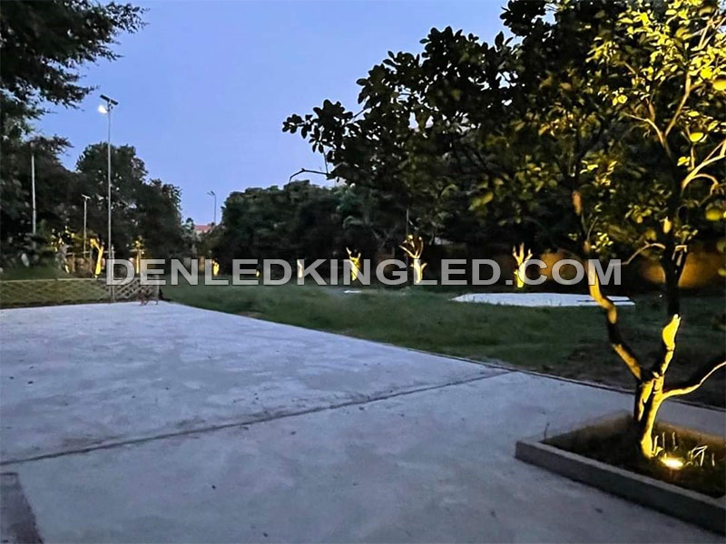 Lắp đặt đèn led chiếu cây sân vườn VCOB hình vuông chiếu sáng gốc cây tại công viên