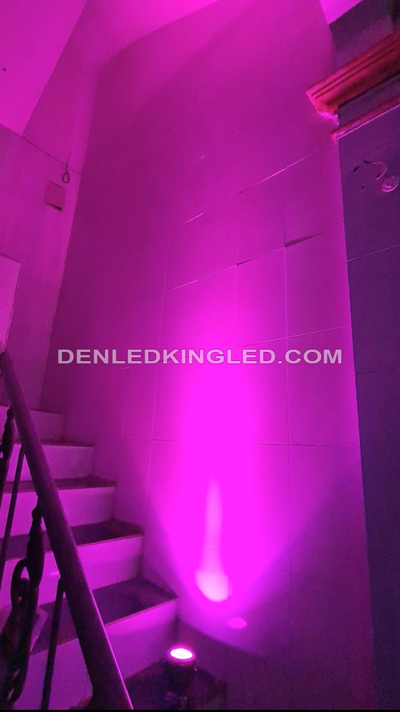 Đèn led chiếu cột chiếu cây hắt tường sân vườn COB ánh sáng màu tím hồng loại RGB