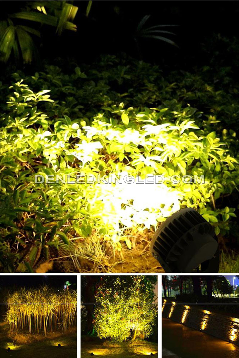 Lắp đặt đèn led chiếu cây hắt tường sân vườn Promax chiếu sáng cho các khóm cây